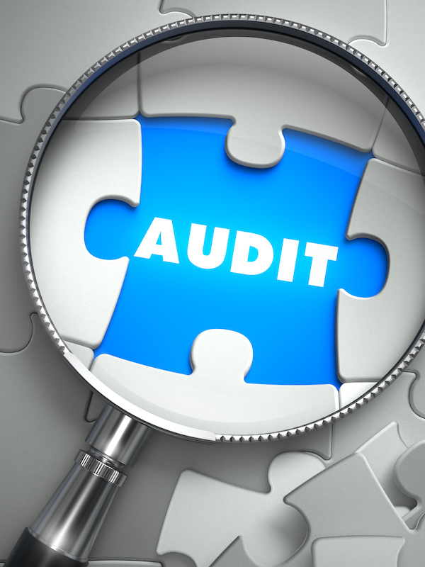 Audit Image